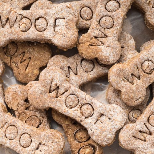 CBD Dog Treats: Peanut Butter Pumpkin Flavor! |