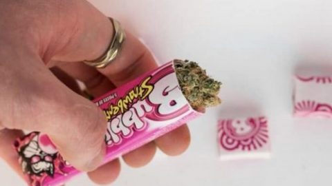 Weed Bubble Gum A Simple Recipe Weed Candy Cannadish