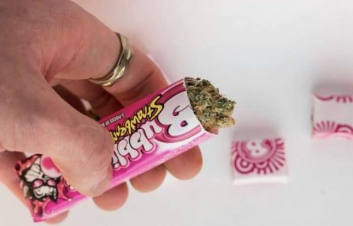 Cannabis buds in weed bubble gum wrapper