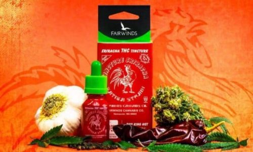 Sriracha hot sauce infused with cannabis THC