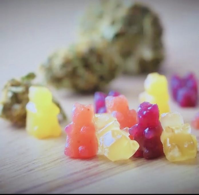 Doityourself CBD Gummy Bears