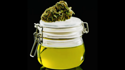 How To Make Marijuana-Infused Olive Oil - The Weed Blog