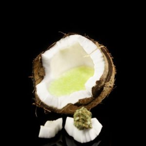 Cannabis infused coconut oil recipe For weed edibles