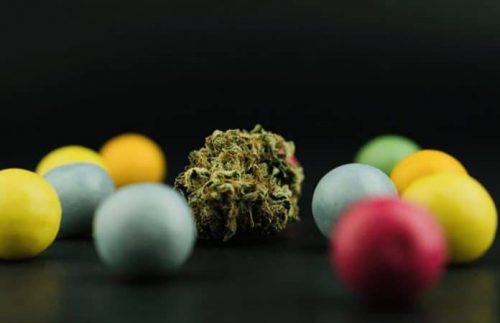 Cannabis top strains paired with weed edibles