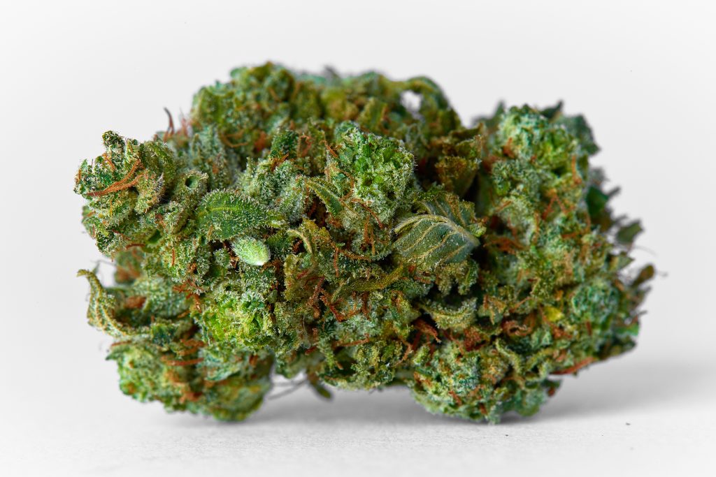 raw cannabis bud