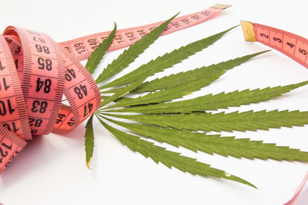 measuring tape around weed for cannabis weightloss