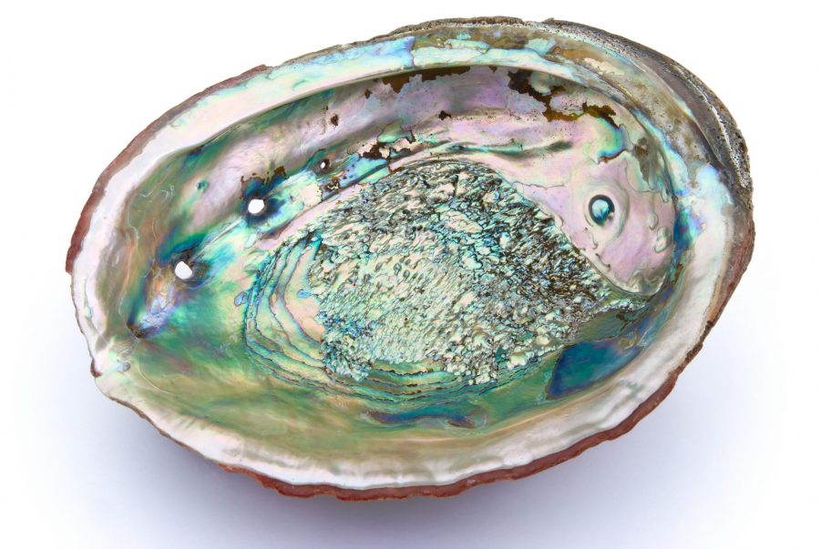 abalone-shell-ceremony