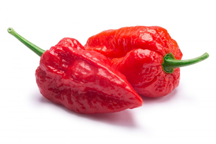 spicy-pepper-cannabis-chili